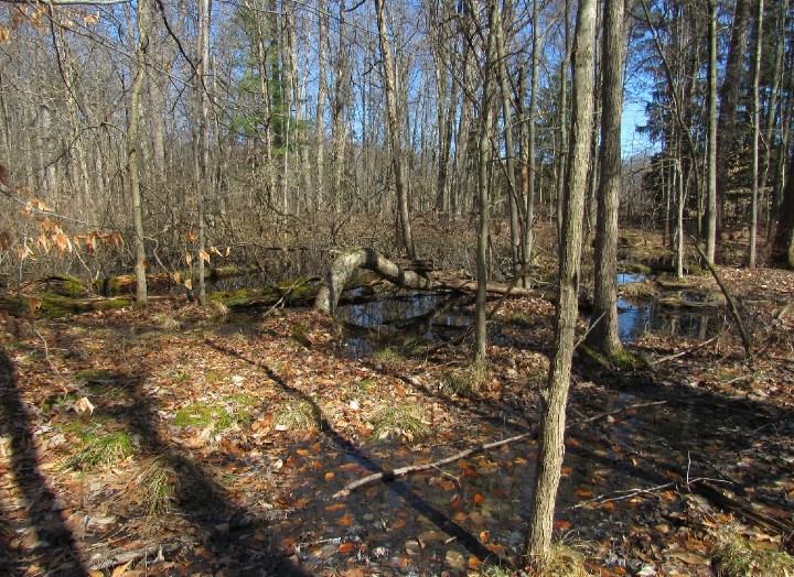 Brecksville MetroParks